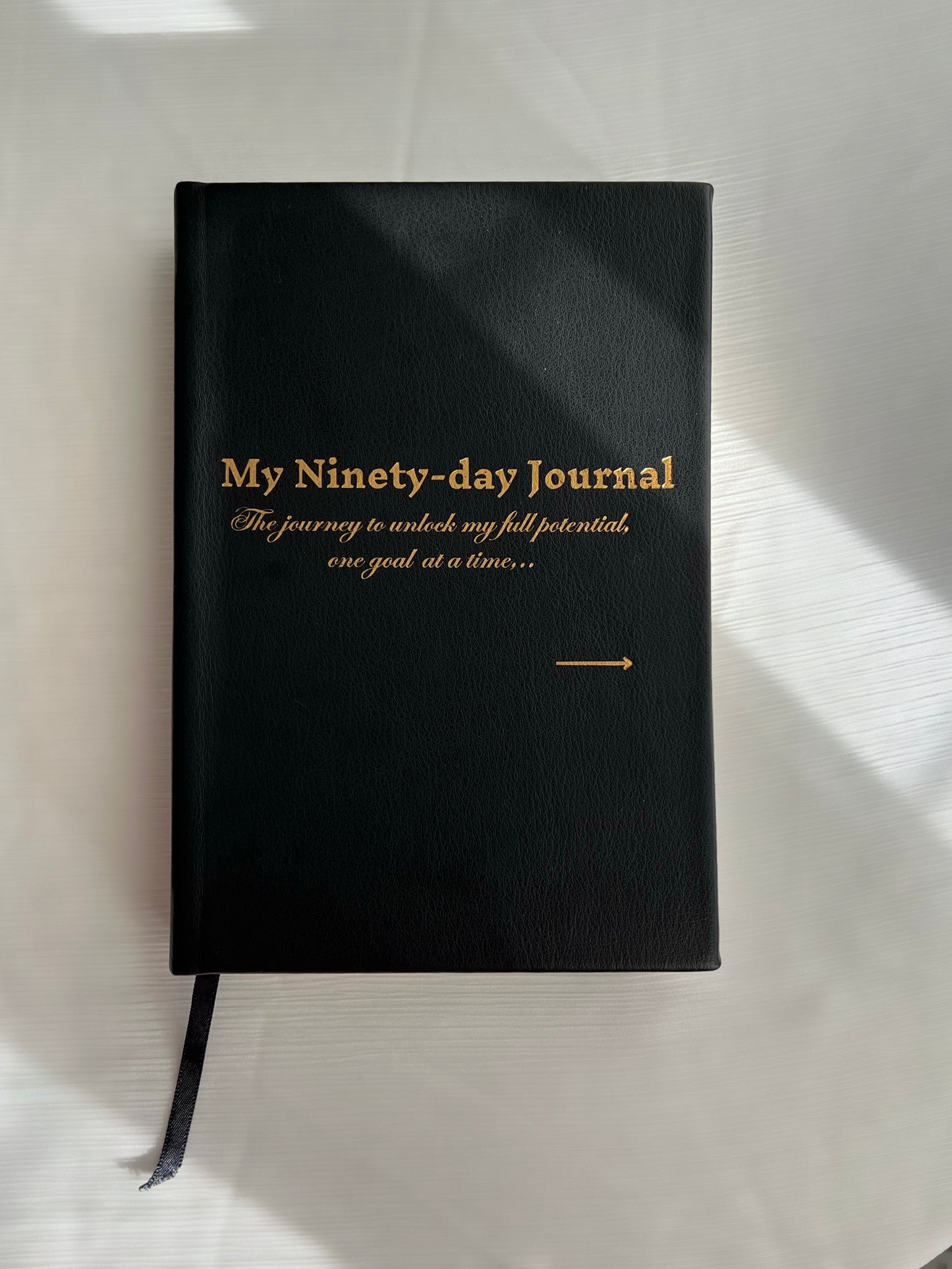 My Ninety-day Journal