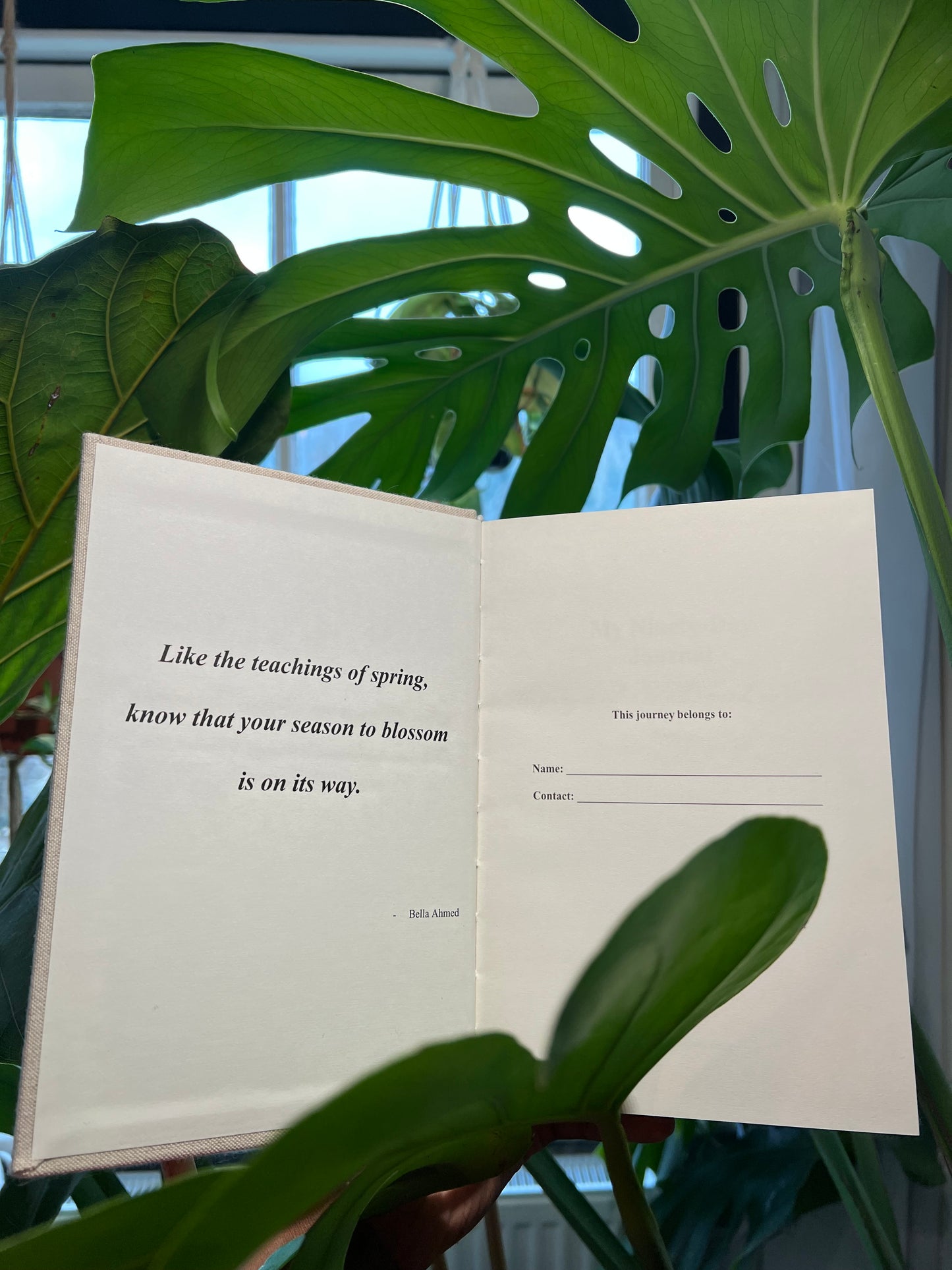 My Ninety-day Journal