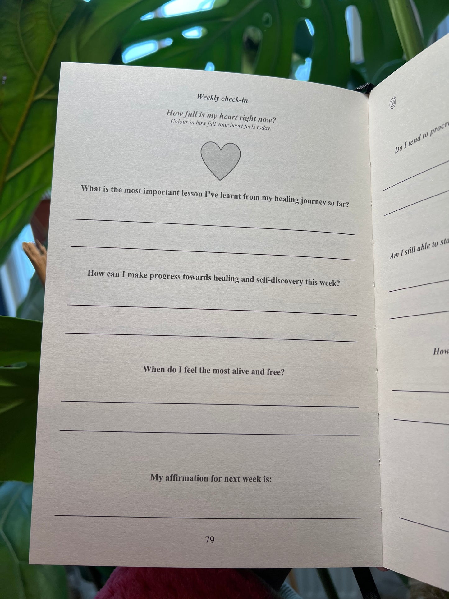 My Ninety-day Journal